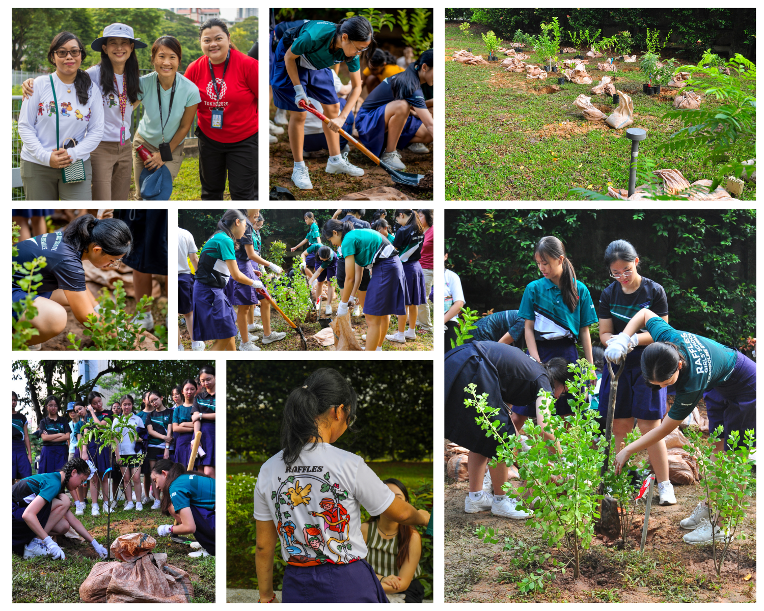 Tree Planting at RGS